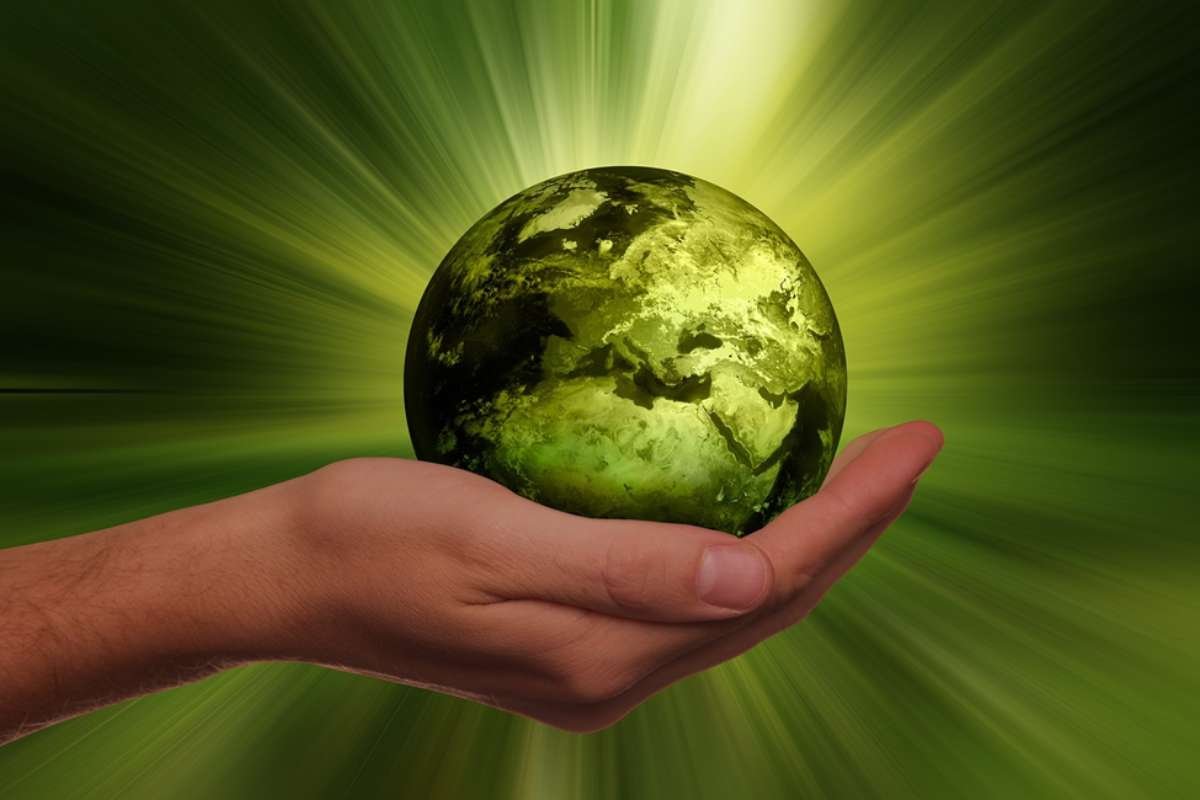 Your Company Formations Review: Eco-Friendly Business Services | CIO Women Magazine