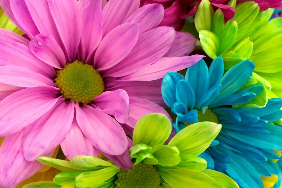 4 Tips for Beating the Pollen When Enjoying the Great Outdoors | CIO Women Magazine